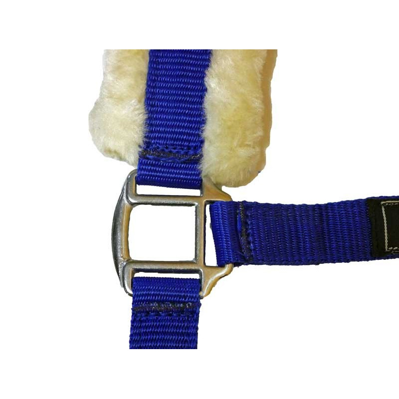 Licol en mouton Stocklot HKM