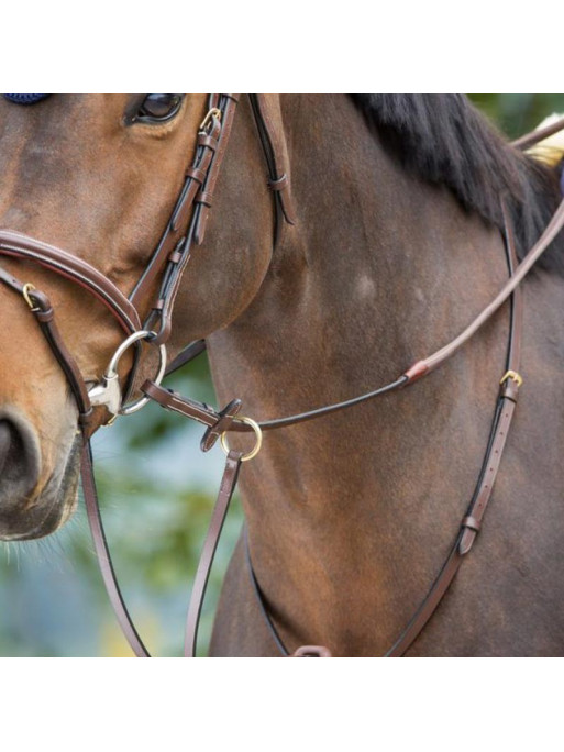 Martingale à anneaux HFI