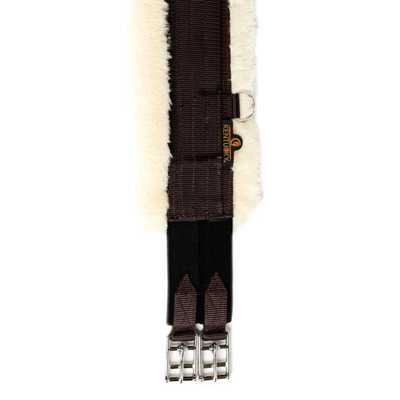Sangle mouton Kentucky
