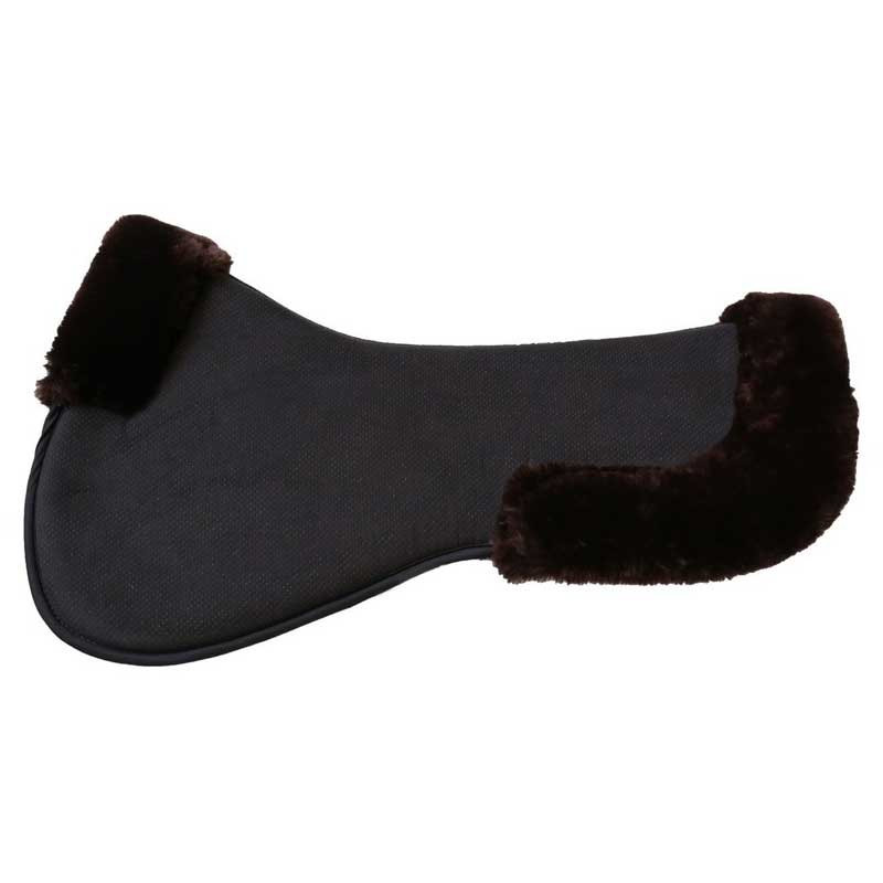 Amortisseur absorb mouton anatomique Kentucky