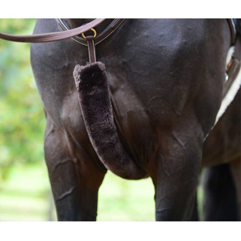Fourreau de collier de chasse mouton Kentucky