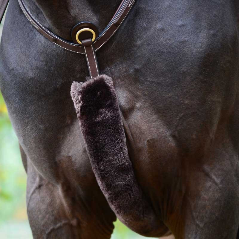 Fourreau de collier de chasse mouton Kentucky