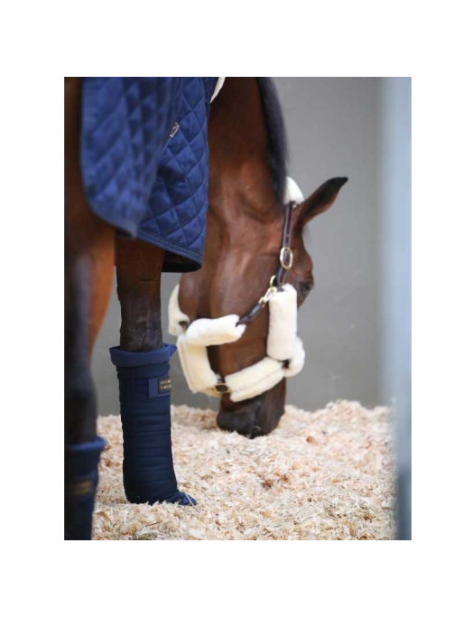 Bandes de repos Repellent Kentucky Bandes de repos Repellent Kentucky