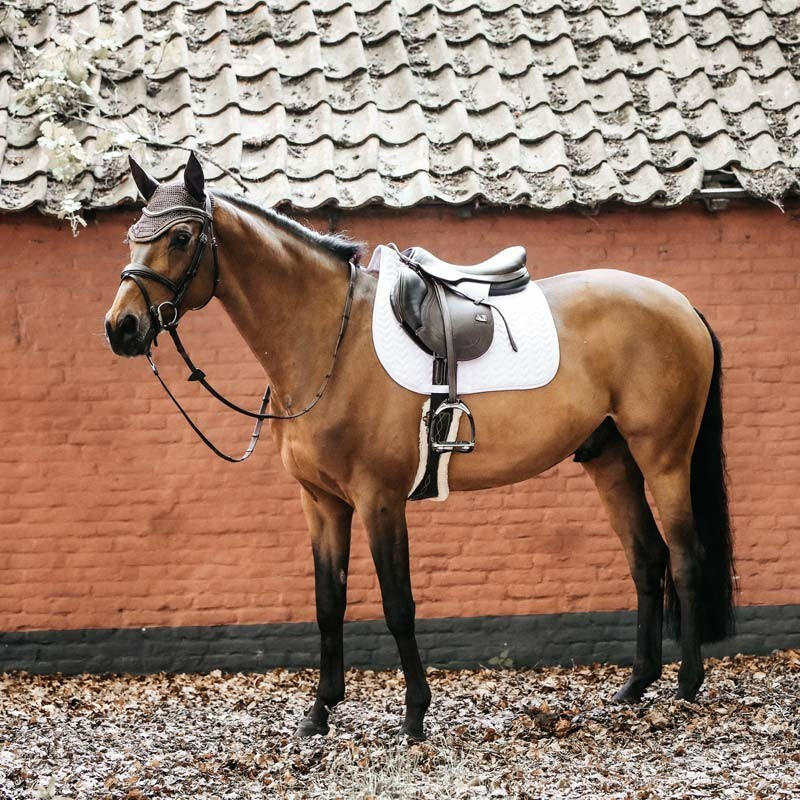 Tapis de selle Fishbone Kentucky