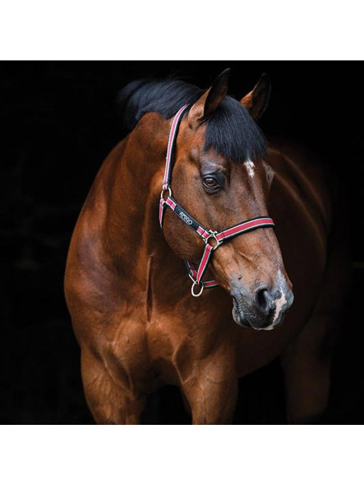 Licol Amigo Horseware