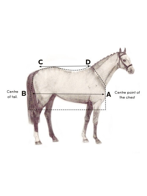 Couverture cheval Horseware Amigo Bravo 12 Original Couverture cheval Horseware Amigo Bravo 12 Original