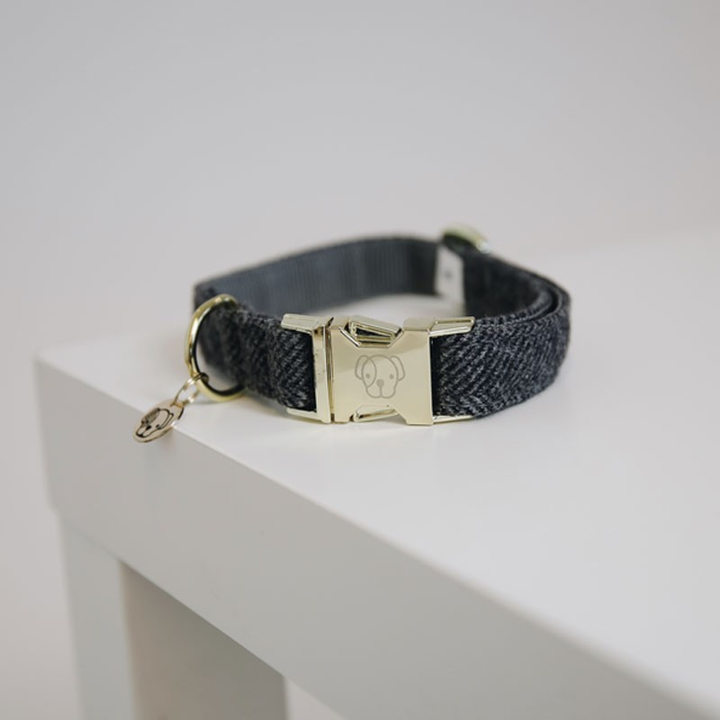 Collier pour chien wool Kentucky