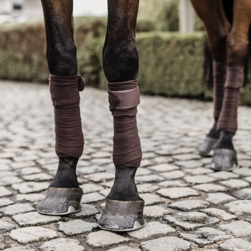 Bandes de polo Polar Fleece Kentucky