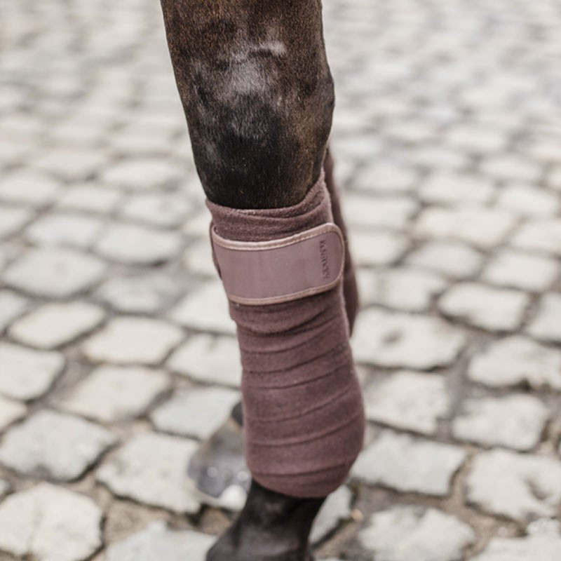 Bandes de polo Polar Fleece Kentucky