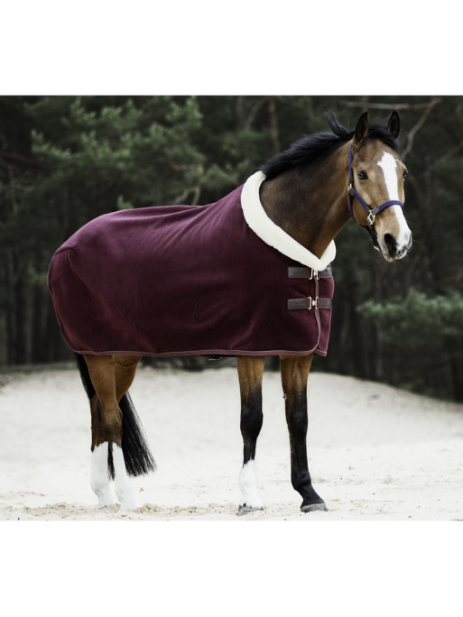 Chemise séchante Show Fleece Heavy Kentucky Chemise séchante Show Fleece Heavy Kentucky