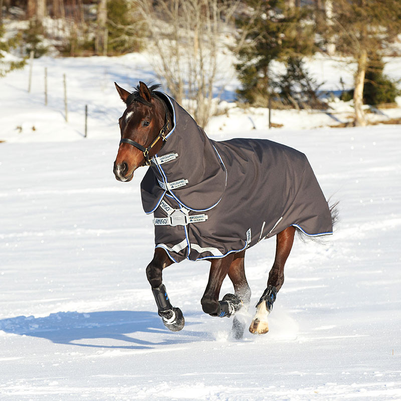 Couverture Amigo Bravo 12 Plus Horseware
