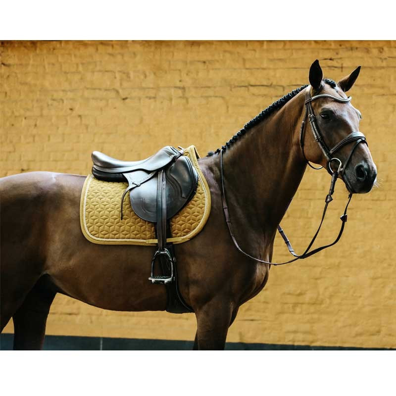 Tapis de selle Velvet Jumping Emeraude Kentucky