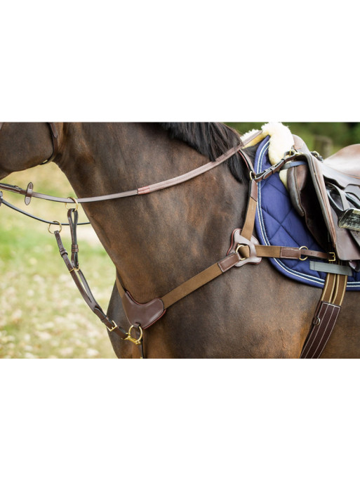 Collier de chasse 5 points HFI Collier de chasse 5 points HFI