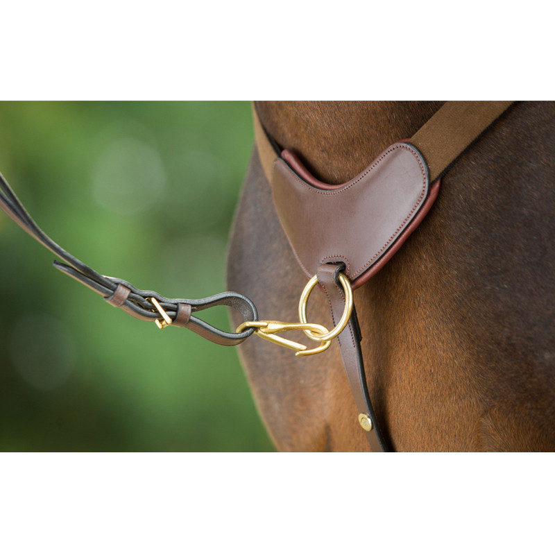Collier de chasse 5 points HFI