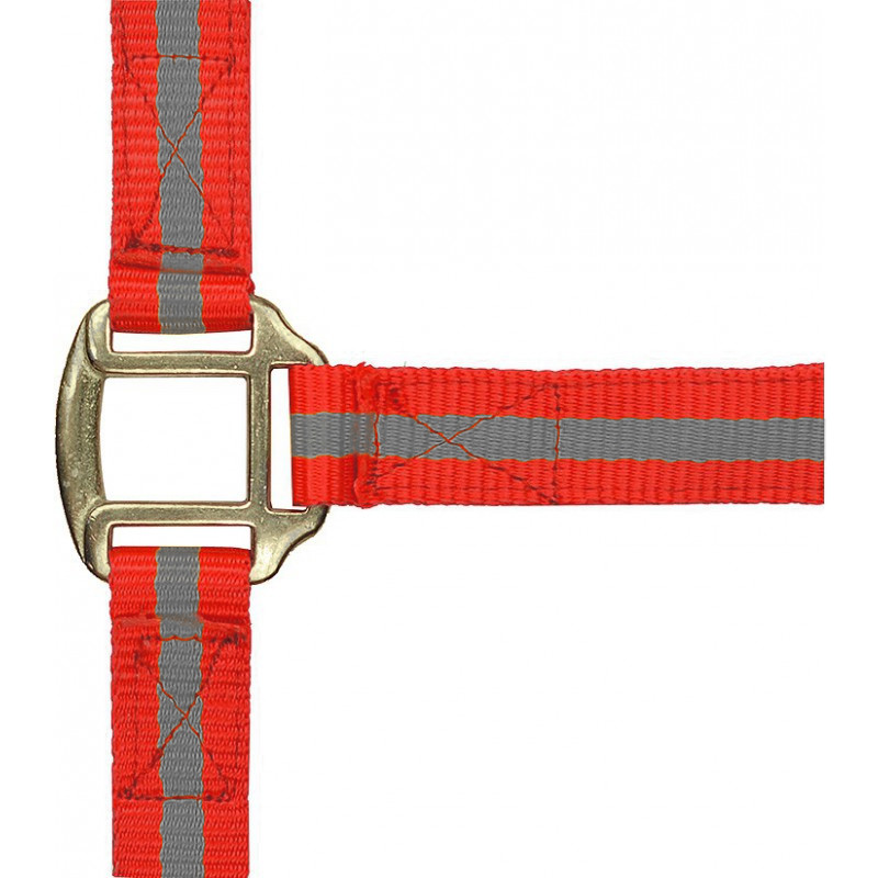 Licol nylon doublé cuir