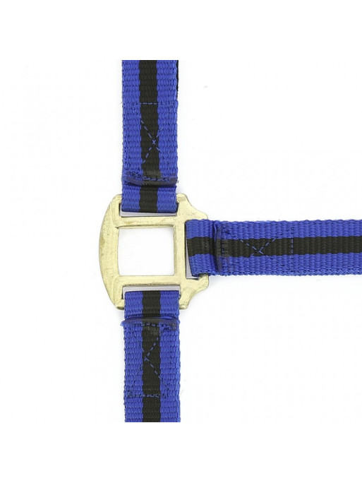Licol nylon doublé cuir