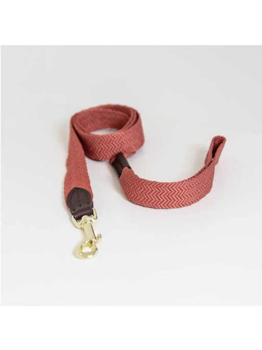 Laisse pour chien Jacquard Kentucky