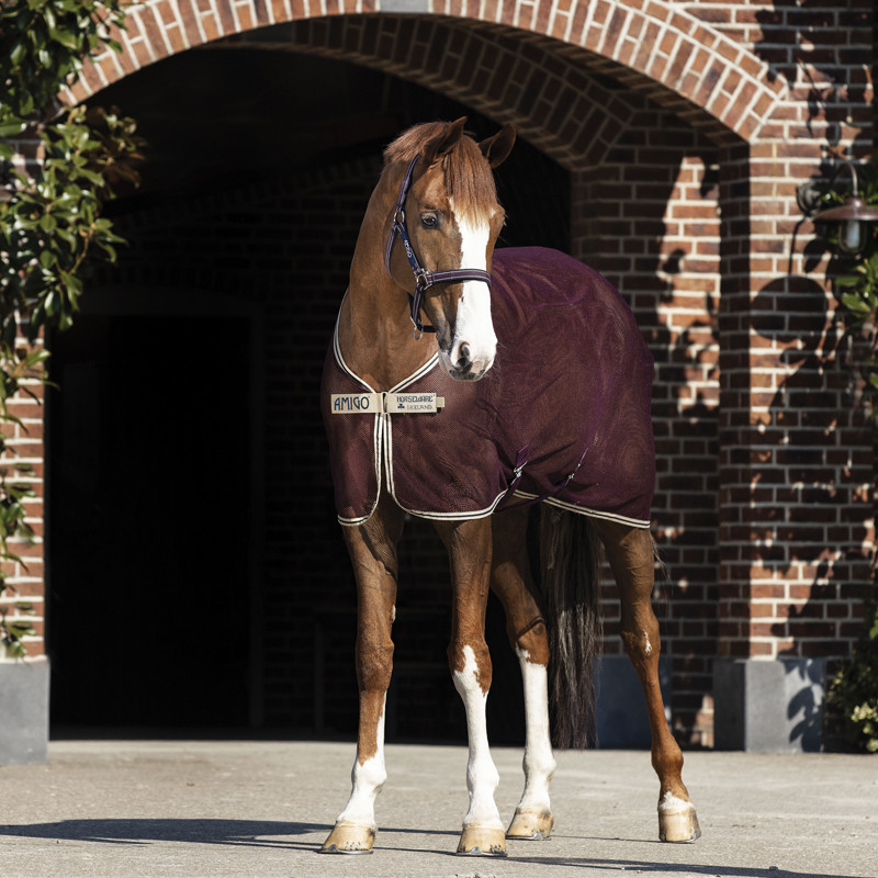 Couverture nid d'abeilles Amigo Net Cooler rem X Sur Horseware