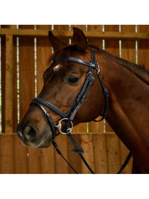 Bridon Dyon muserolle combinée Fancy Bridon Dyon muserolle combinée Fancy