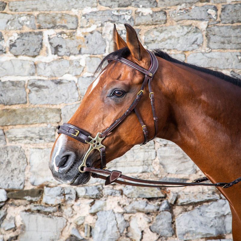 Bridon Hackamore "D Collection" Dy'on