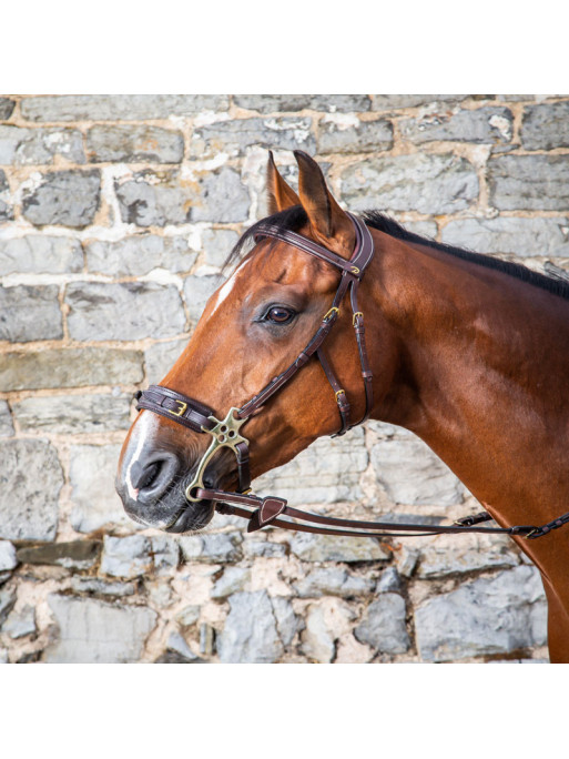 Bridon Hackamore "D Collection" Dy'on