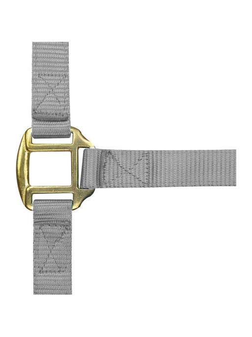 Licol nylon doublé cuir