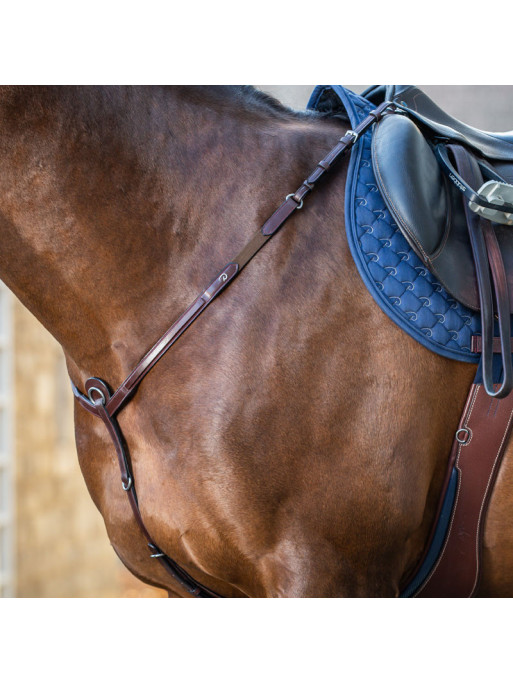 Collier de chasse Fancy "New English Collection" Dy'on Collier de chasse Fancy "New English Collection" Dy'on