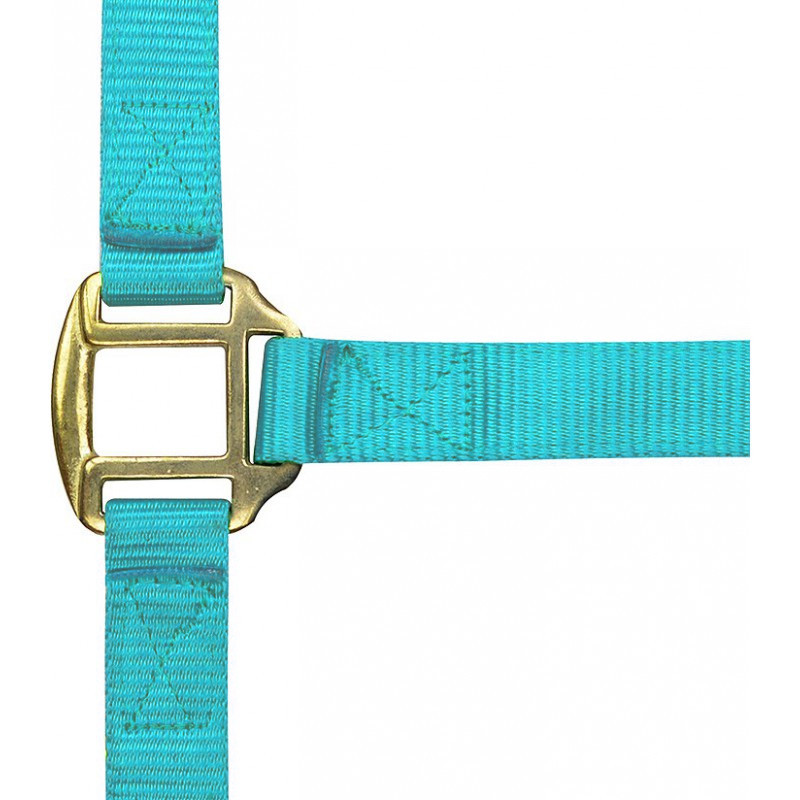 Licol nylon doublé cuir