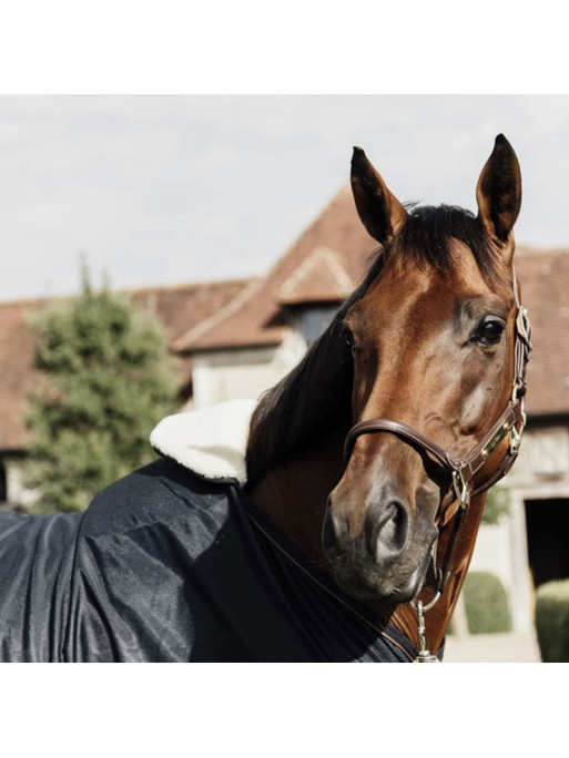 Horse Bib Protection Garrot Mouton Kentucky