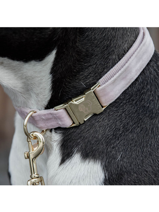 Collier Velvet Velours Kentucky Collier Velvet Velours Kentucky