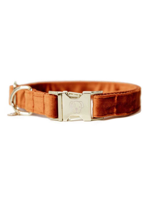 Collier chien velour Velvet Kentucky Collier chien velour Velvet Kentucky
