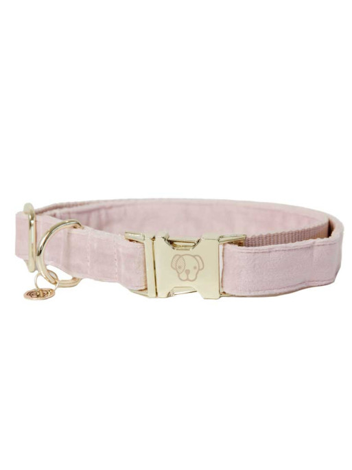 Collier chien velour Velvet Kentucky Collier chien velour Velvet Kentucky