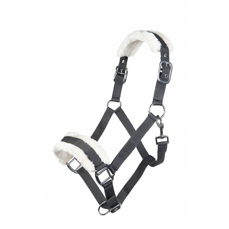 Licol en mouton Teddy HKM