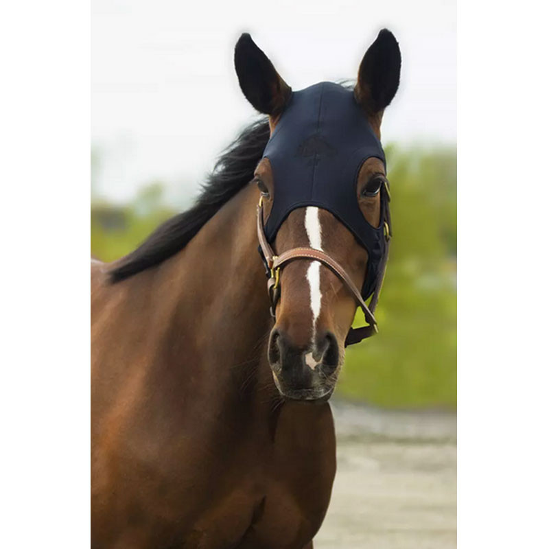 Masque en titane liquide Fenwick