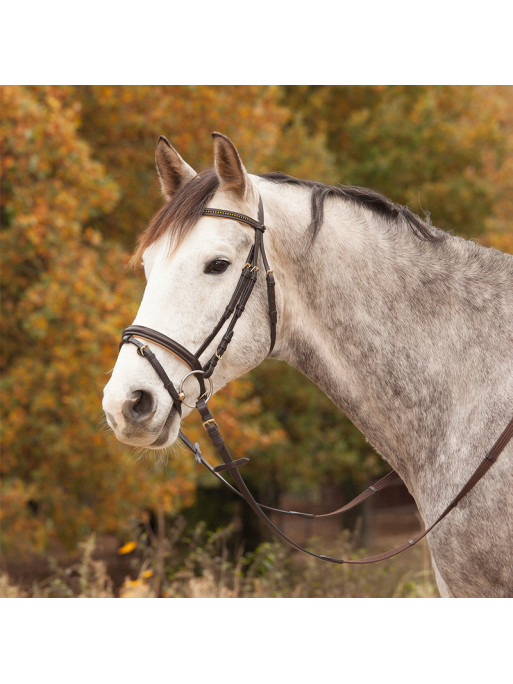 Bridon Star Diamond Waldhausen