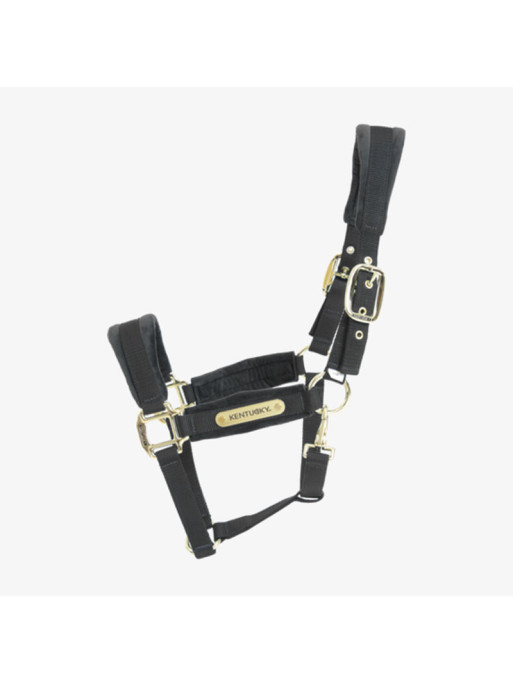 Licol Velvet Kentucky noir