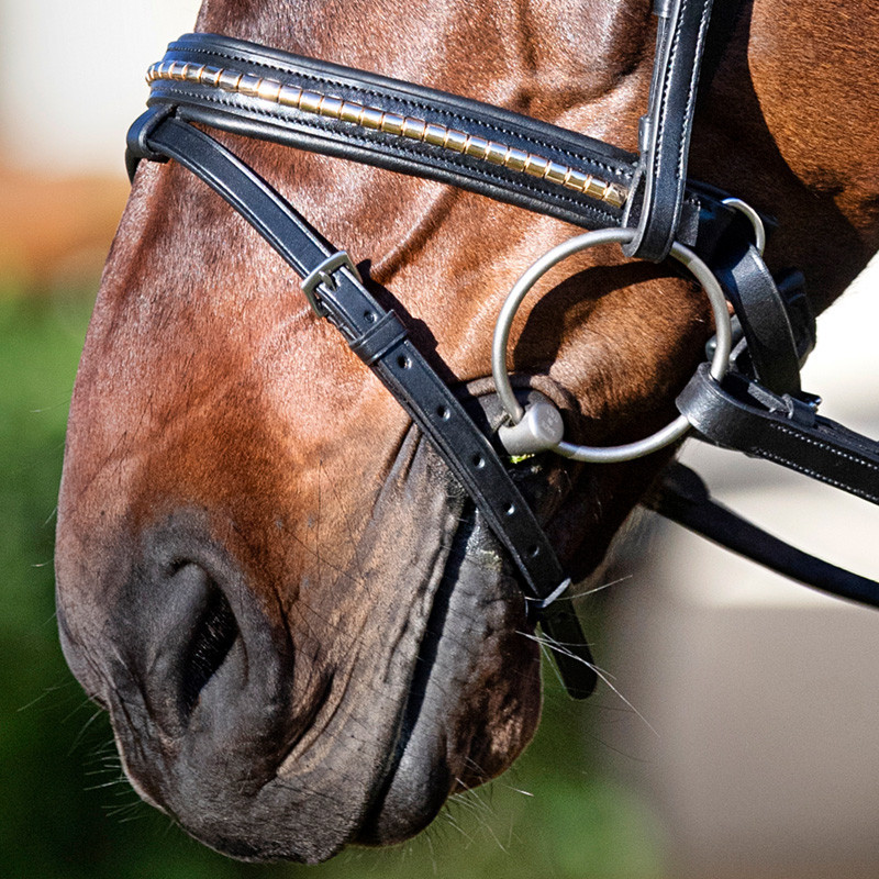 Muserolle combinée clincher doré Equiline portée 2