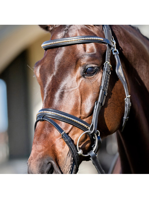Muserolle combinée clincher doré Equiline portée 3