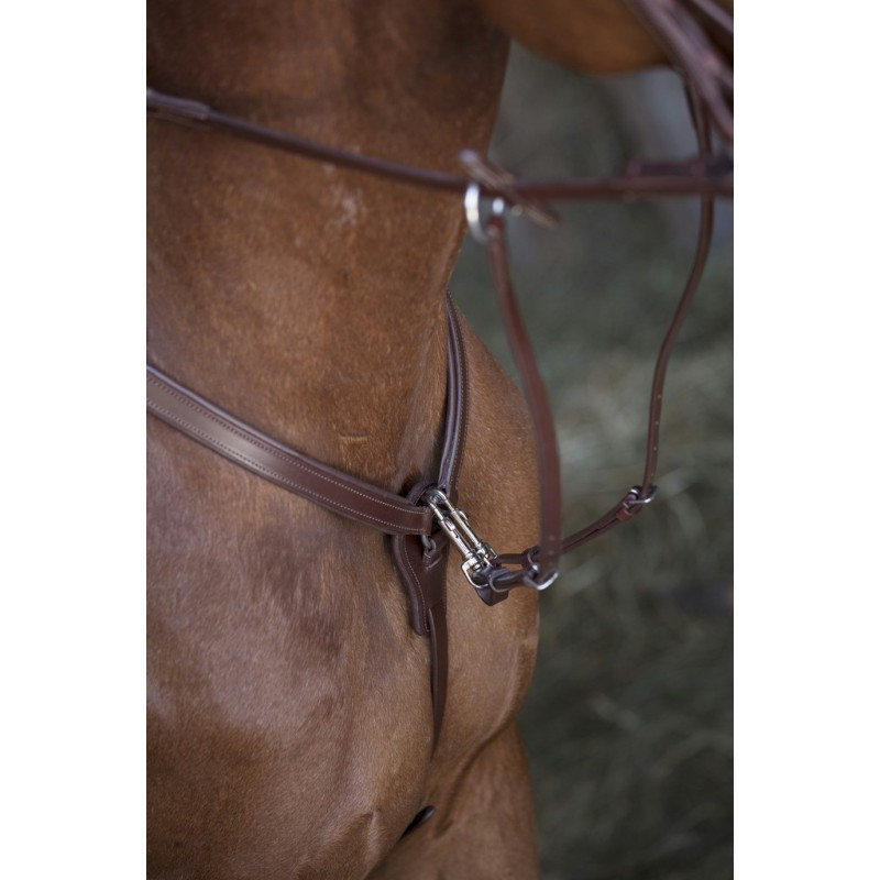 Collier de chasse Norton Pro détails 1