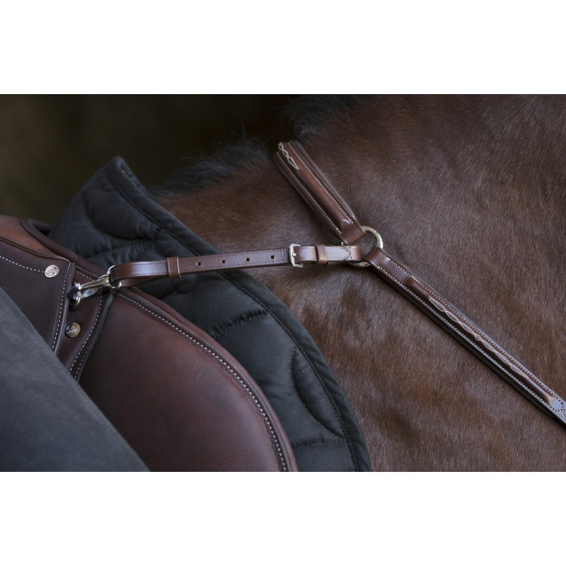 Collier de chasse Norton Pro détails 2