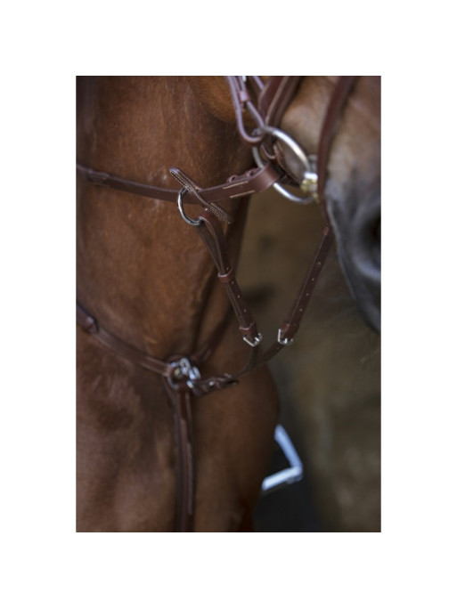Collier de chasse Norton Pro détails 3 Collier de chasse Norton Pro détails 3