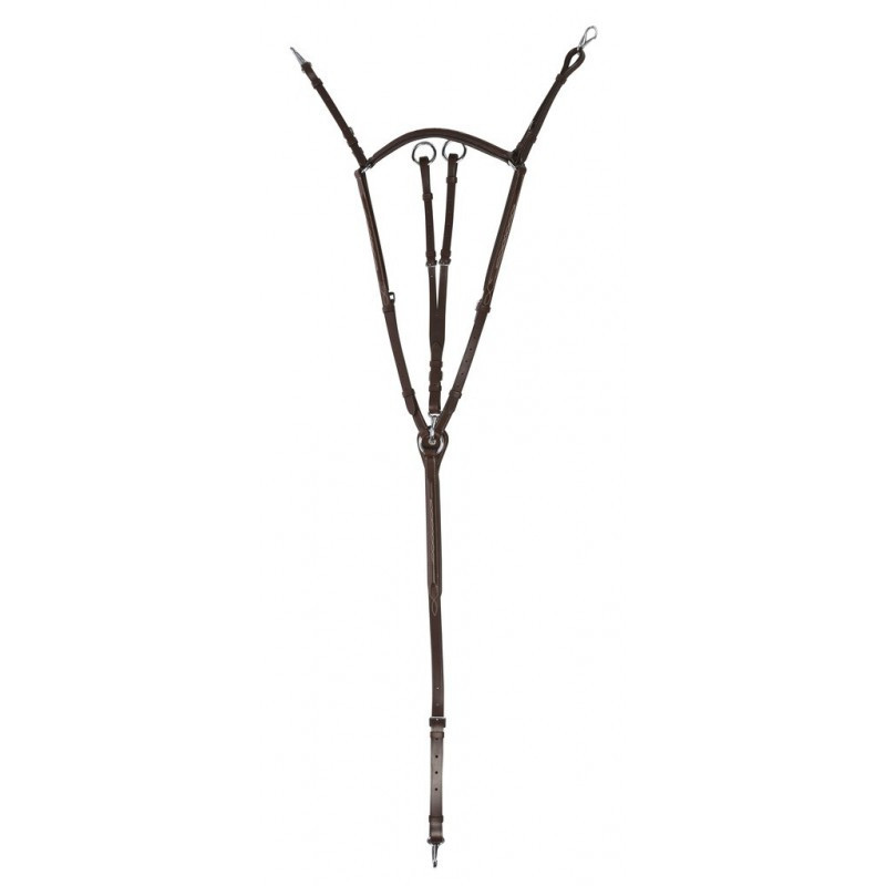 Collier de chasse Norton Pro havane