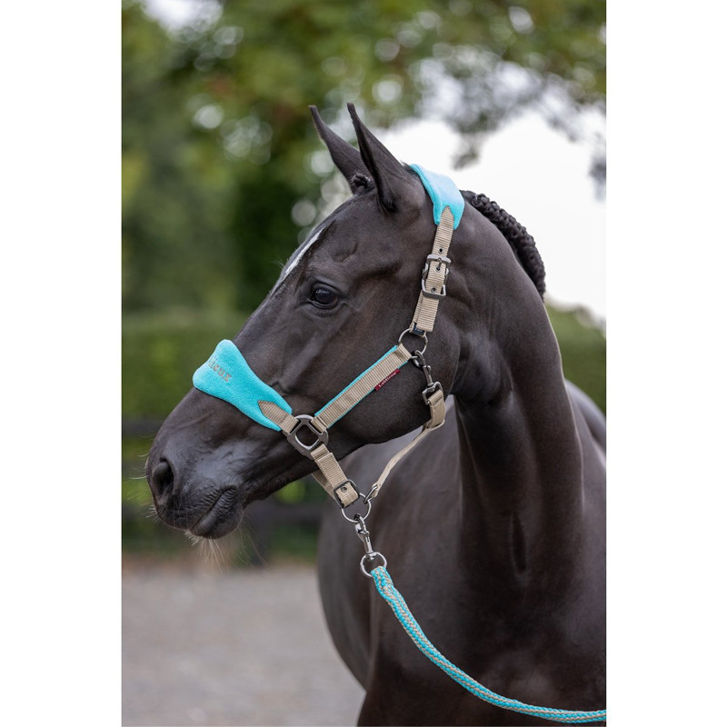 Licol + longe Vogue Fleece LeMieux Azur 2