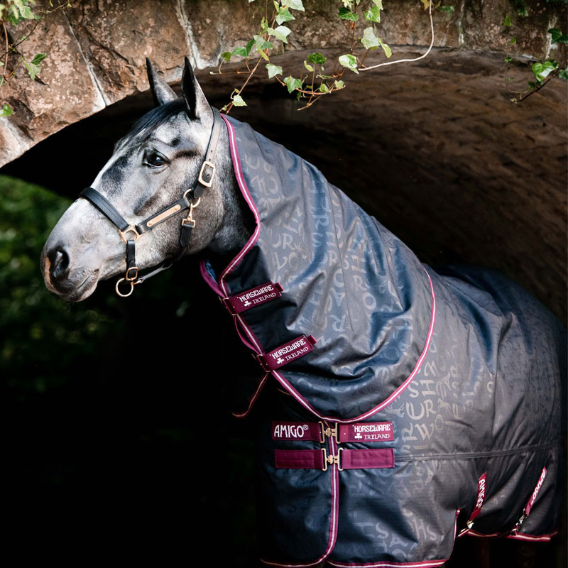 Couverture Amigo Hero Plus Lite 0g Horseware 3