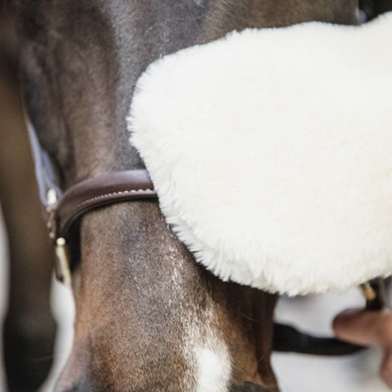Gant en mouton Grooming Deluxe Kentucky