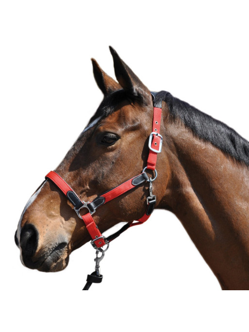 Licol Nylon/cuir Flags&Cup rouge noir