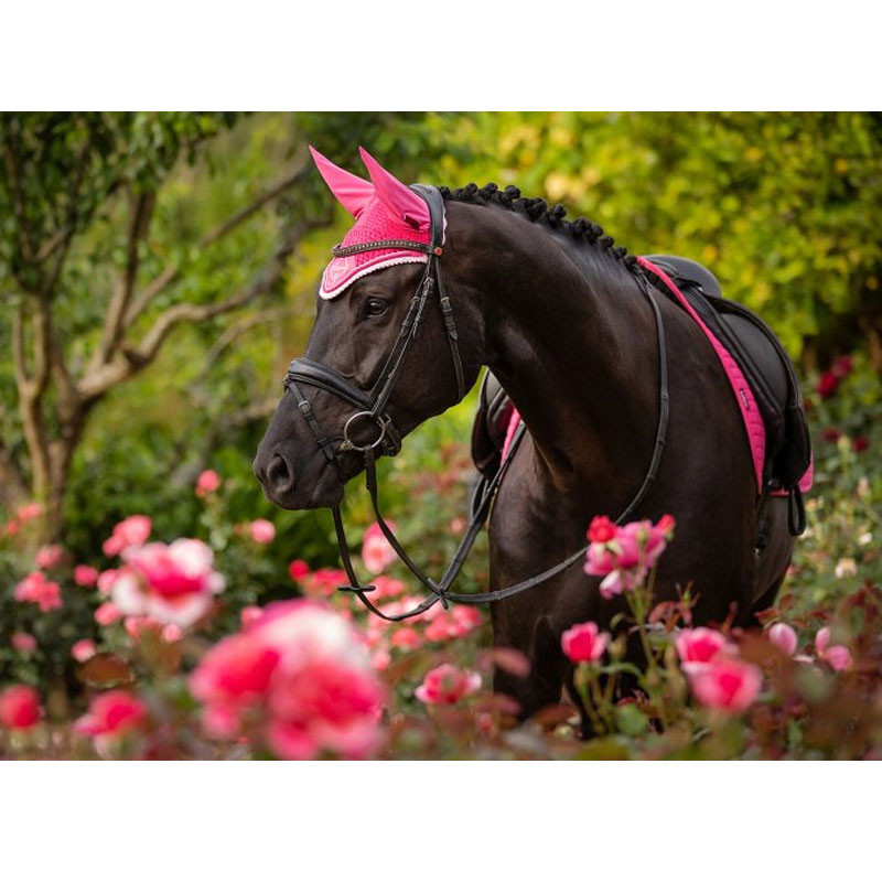 Bonnet Classic Fly Hood LeMieux