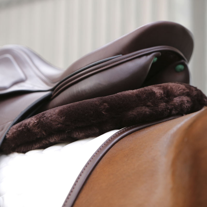 Amortisseur absorb mouton anatomique Kentucky
