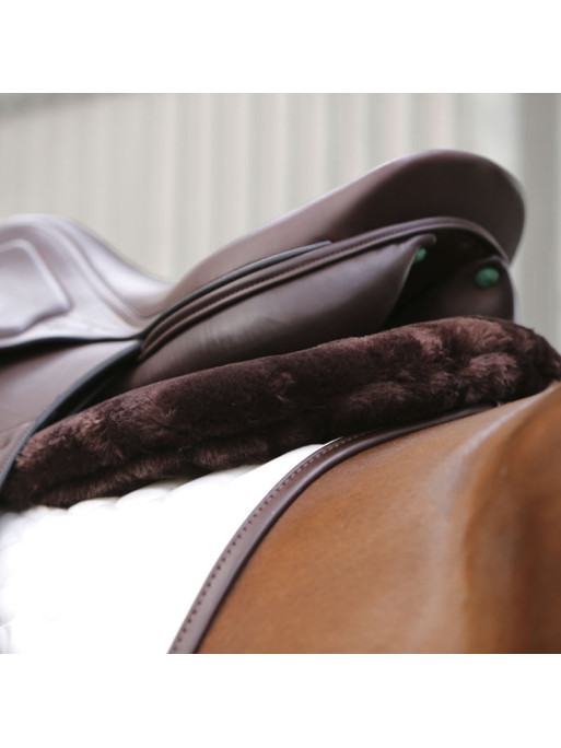 Amortisseur absorb mouton anatomique Kentucky