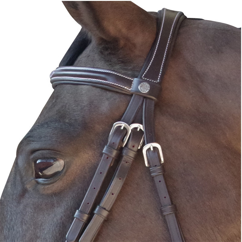 Bridon surpiqué Canter marron zoom frontale